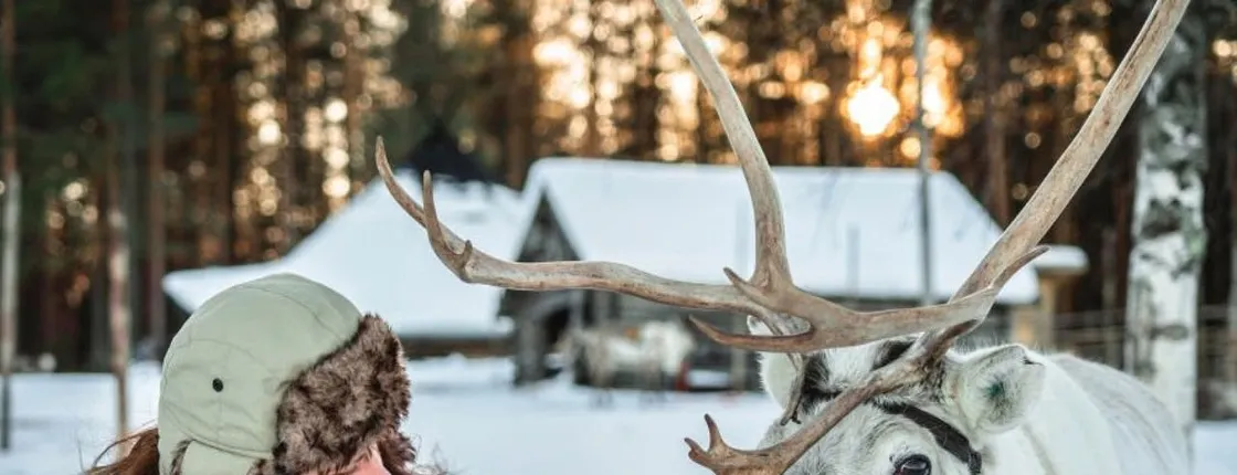Reindeer safari at a 200-year-old farm with 2.5 km sled ride