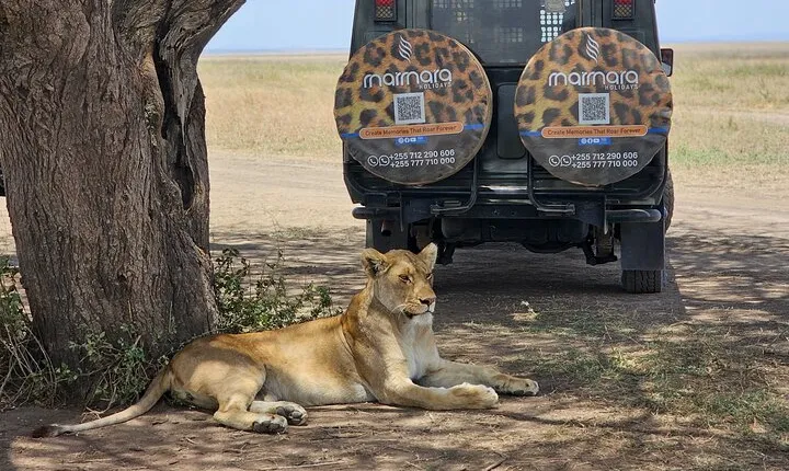 3 days and 2 nights Safari to Serengeti National Park