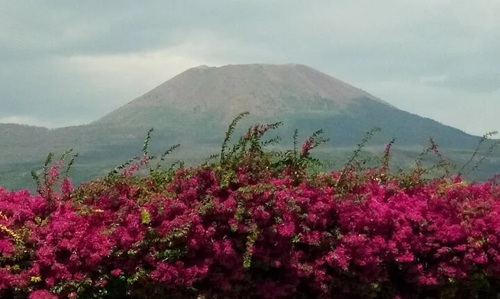 Pompeii SkipTheLine and Mt Vesuvius with Lunch&WineTasting from Rome