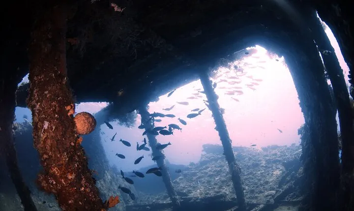 Try Diving in Tulamben - Shipwreck