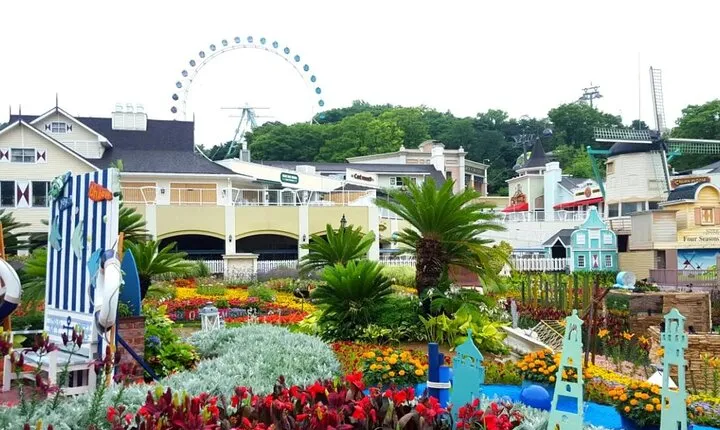 Everland Theme Park Entry Ticket