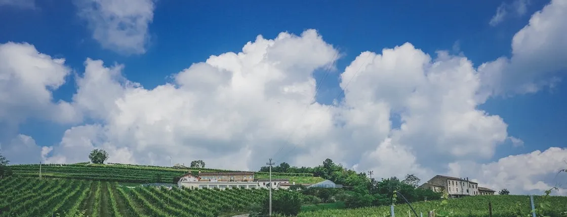 Prosecco wine tour from Venice