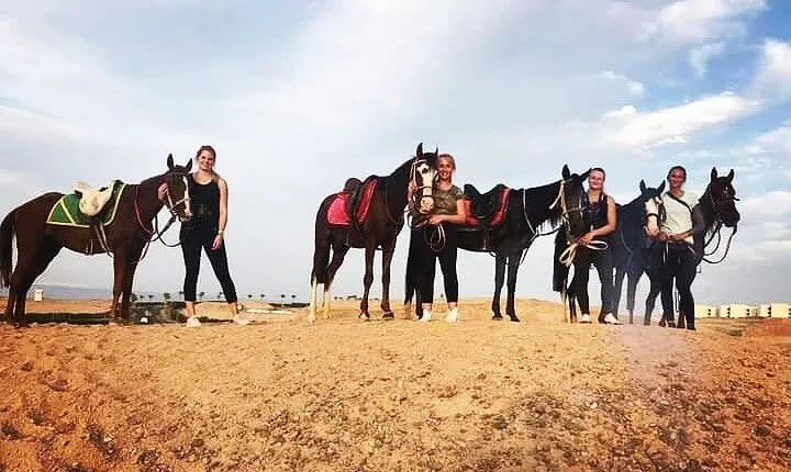 Experience Horseback Riding in the Desert For 1 Hour - Hurghada