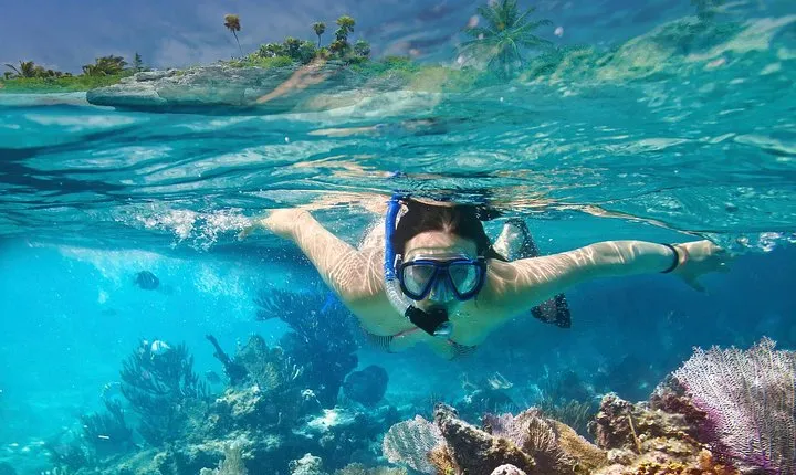 Snorkeling in Unawatuna