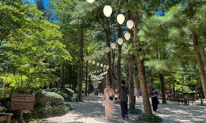 Nami Island Trip with Petite France & Italian Village and Gangchon Rail Bike
