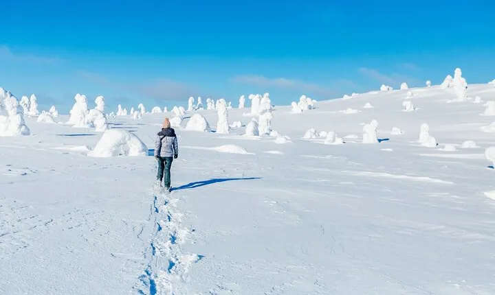 Trip to Riisitunturi National Park