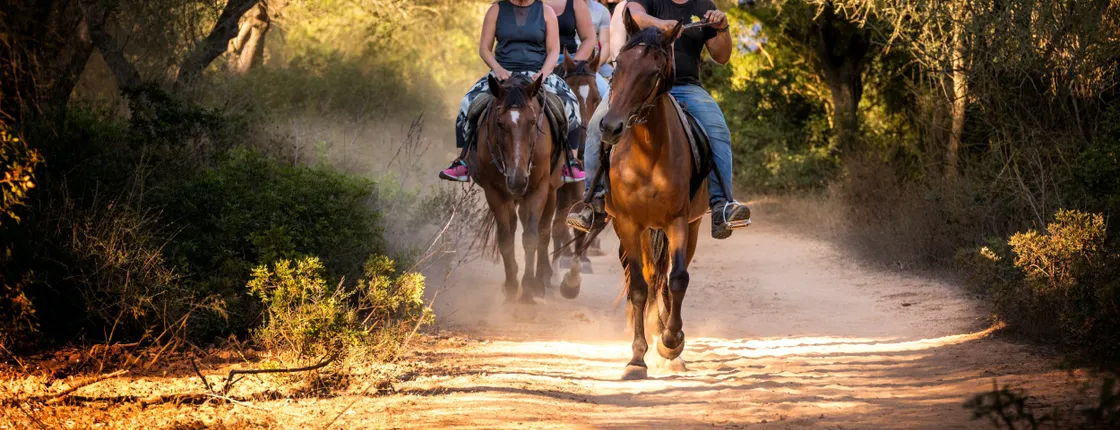 Taino Trail Horseback Riding Experience