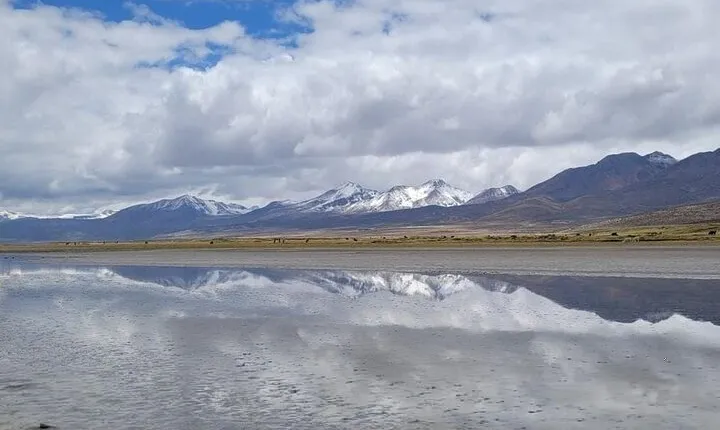 Salar de Salinas Adventure from Arequipa from 6:00am to 1:30pm