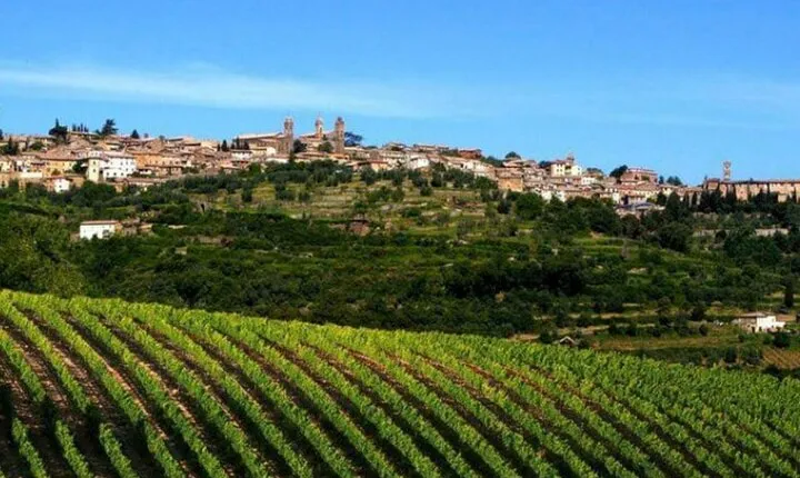 Private tour Wine and cheese a perfect combinations val 'Orcia