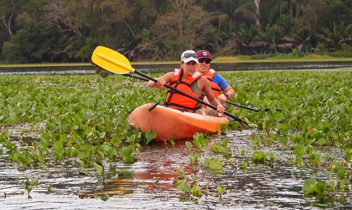 Kayaking tour in the Chagres River
