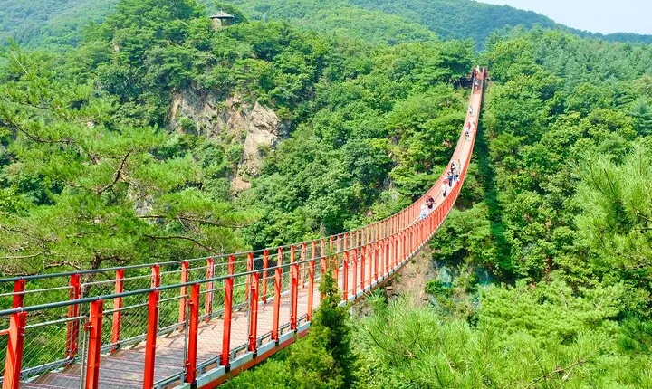 Seoul DMZ Tour with 3rd Tunnel and Red Suspension Bridge