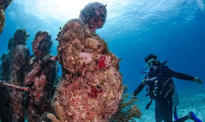 Discover scuba ,MUSA and Manchones reef dive without license