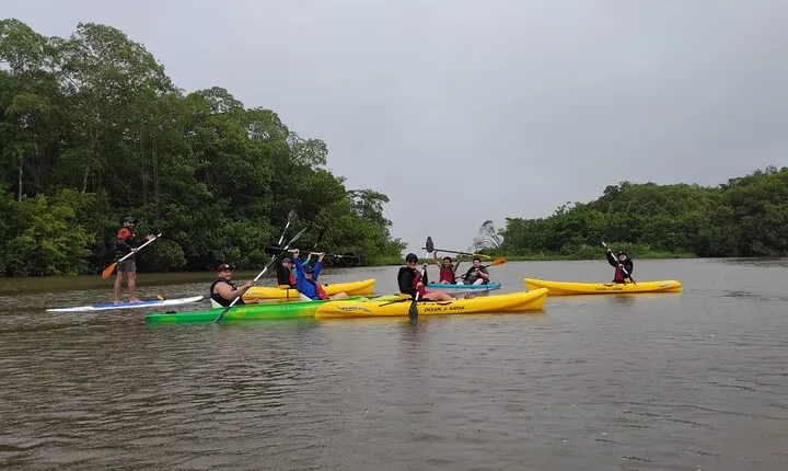 Kayaking Tour in Gandoca Lagoon throug mangrove forest