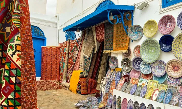 Private Day Trip Tunis Carthage Sidi Bou Said