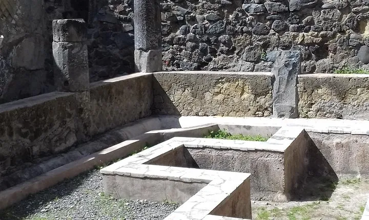 Transfer- Rome to Naples with a 120 minutes stop in Herculaneum or vice versa