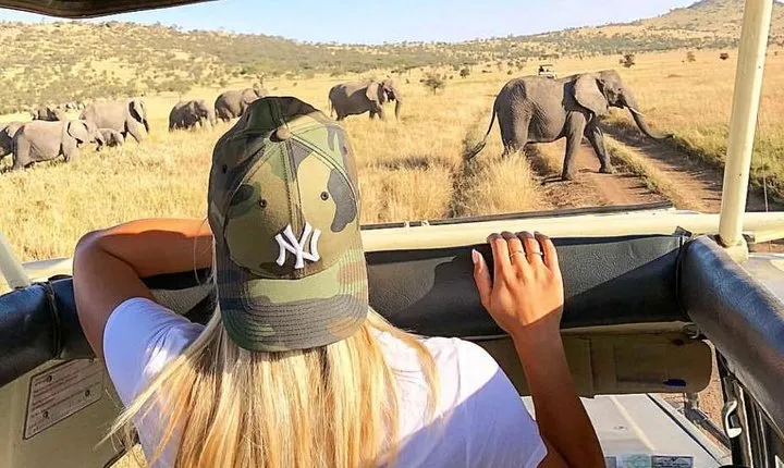 4 Days Serengeti, Tarangire, Ngorongoro Safari Tour