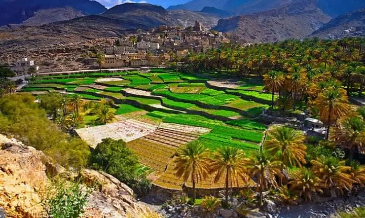7 Days Oman Private Tour from Muscat, with Pickup
