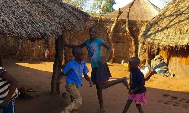 Half-Day Private Tour to Musokotwane Village with Lunch