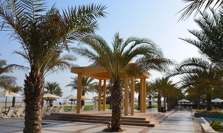 Ras Al Khaimah City Tour - Half Day