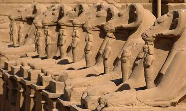 Day Tour To Luxor From Marsa Alam private by car