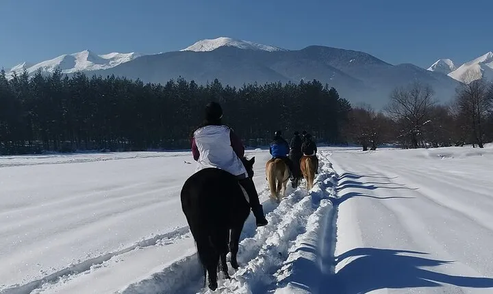 Horse riding experience from Bansko