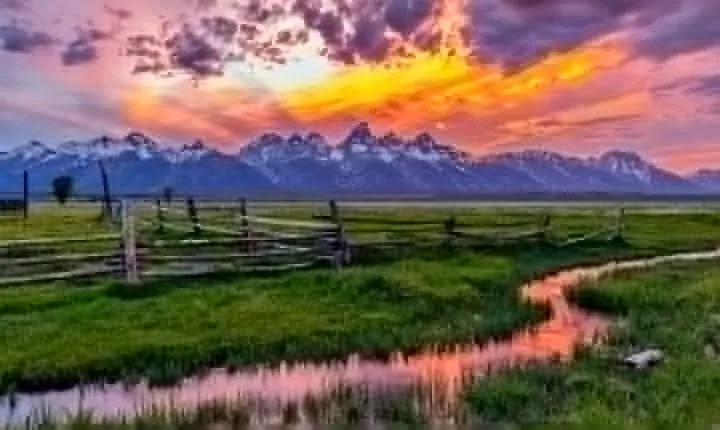 Luxury Private Half-Day Grand Teton National Park Tour