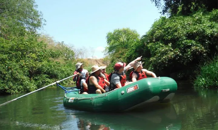 Full-Day Private Nature and Wildlife Tour in Costa Rica