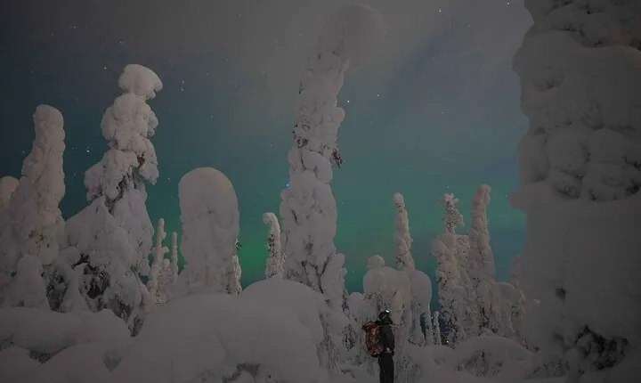 Aurora Borealis Snowshoeing Adventure by Night from Rovaniemi