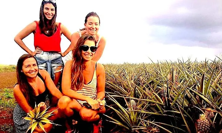 Best of Oahu Full-Day Small-Group Island Tour