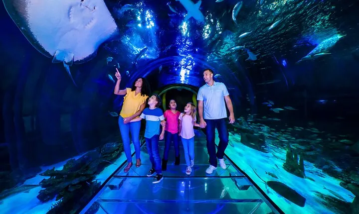 SEA LIFE Orlando Aquarium