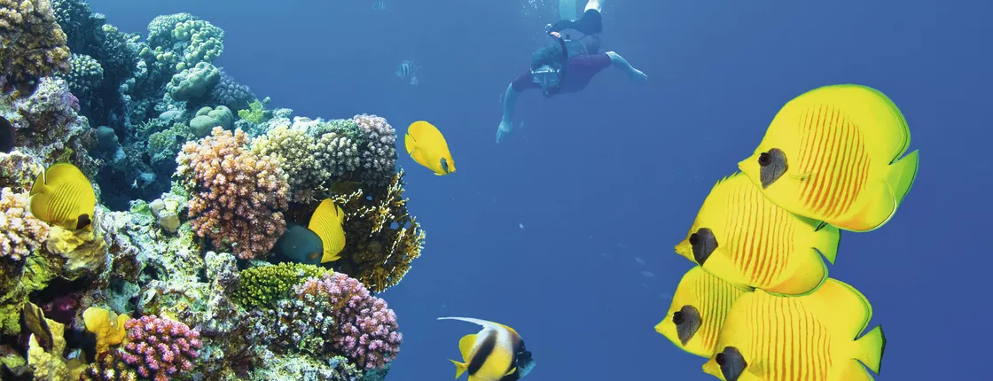 Zanzibar Seafari Snorkelling Boat Tour