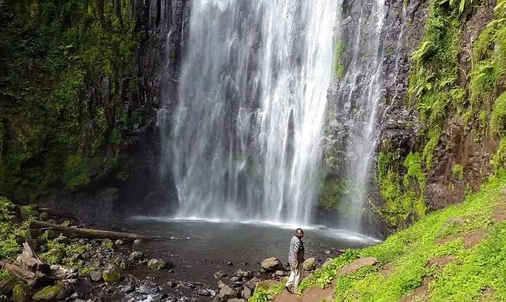 Materuni Waterfall & Coffee Tour