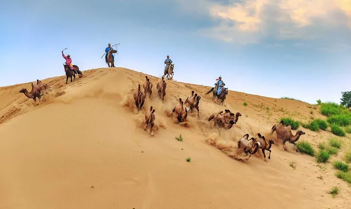 8 Days Tour: Gobi Desert And Kharkhorin
