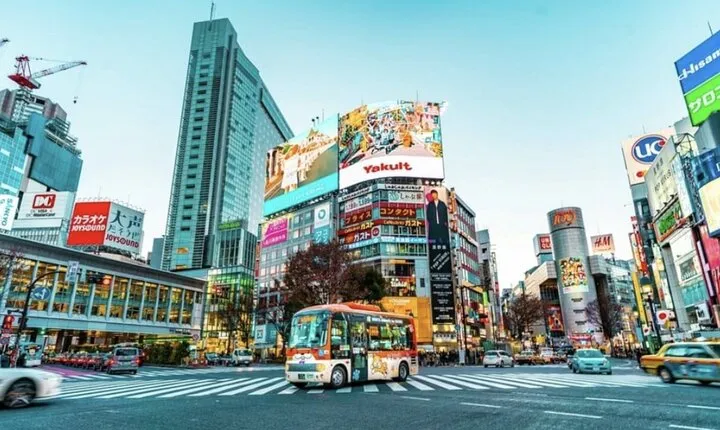Tokyo Private Guided Tour with Hotel Pickup and Drop off