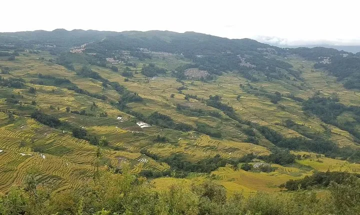 Private 3-Day Tour to Jianshui Old Town and Yuanyang Rice Terraces from Kunming