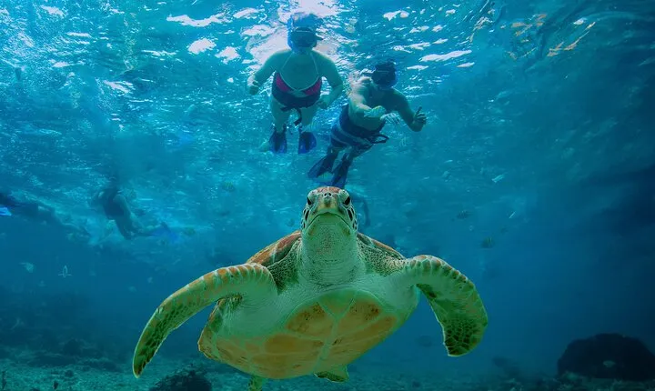 Hidden Cenote Swim: Snorkeling, Sea Turtles and Beachside Lunch