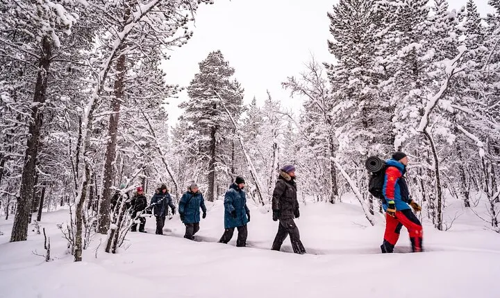 Snowshoe in a Winter Forest