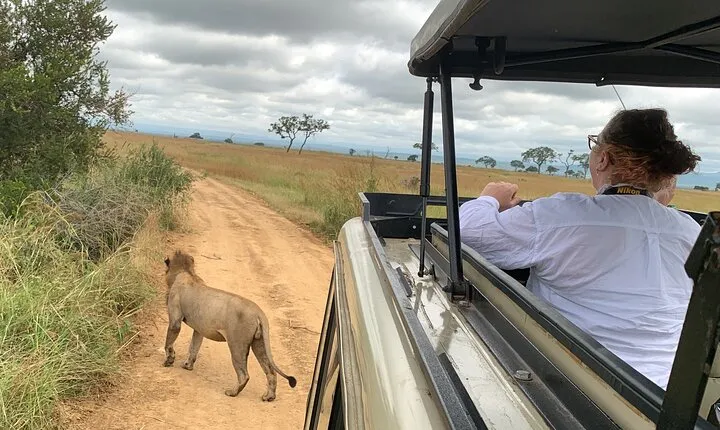 3 Days Mikumi National Park Private Tour