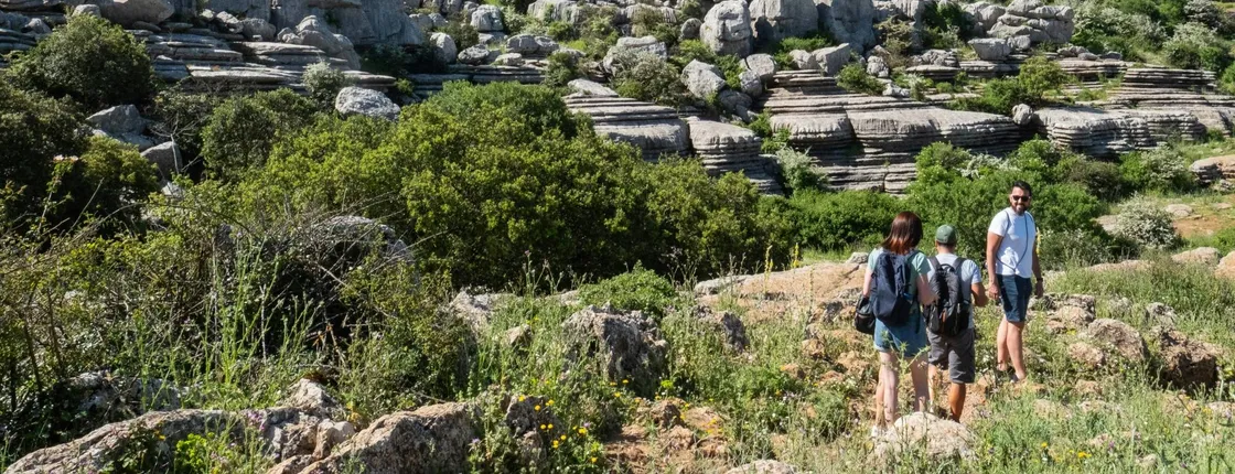 El Torcal and Antequera tour with lunch and orange farm visit