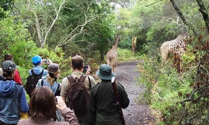 Arusha National Park (Best suited for family and walking safari)