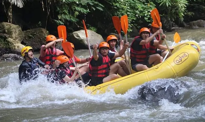 Rafting Swing Monkey Forest And Waterfall Tour All Inclusive