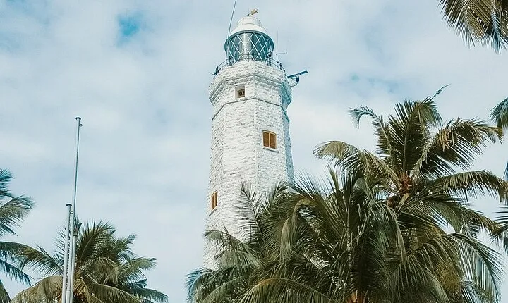 8 Days Private Vehicle With Driver Explore Srilanka By Your Own Plans