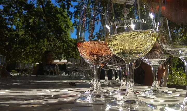 Wine Tour to Stellenbosch & Franschhoek with Tastings & Lunch
