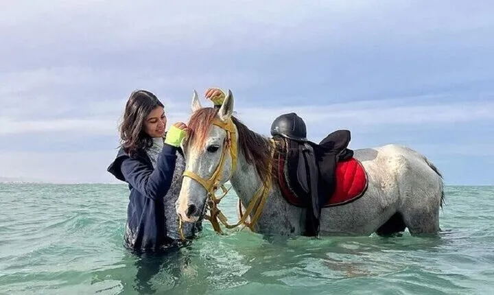 Swimming by Horse 3 Hours ,Beach, Desert & Dinner - Hurghada
