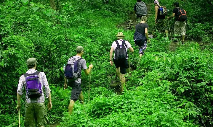 Rainforest Trekking in Kitulgala