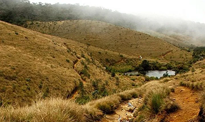 Horton Plains-World's End Tour From Nuwaraeliya