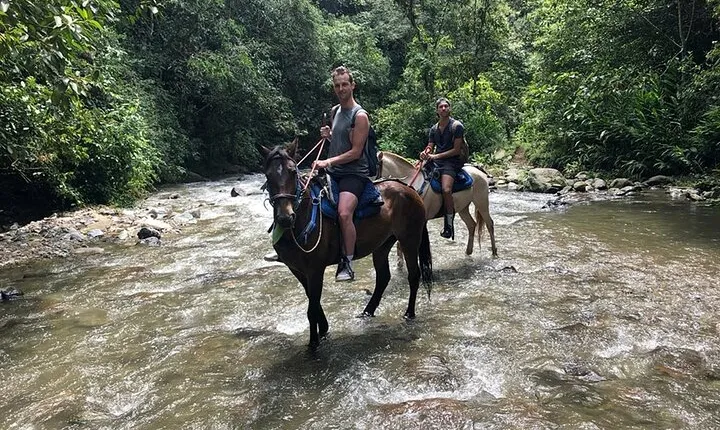 Horseback riding coffee farms, forest and river boquerón