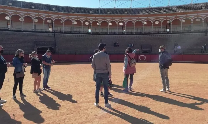 Seville Bullring: Guided Tour with Direct Entry