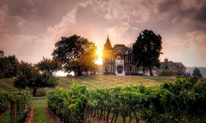 Ultimate Wine Country and Niagara Falls Private Tour with Lunch