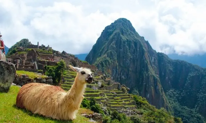 7-Day Sunrise in Machupicchu from Lima